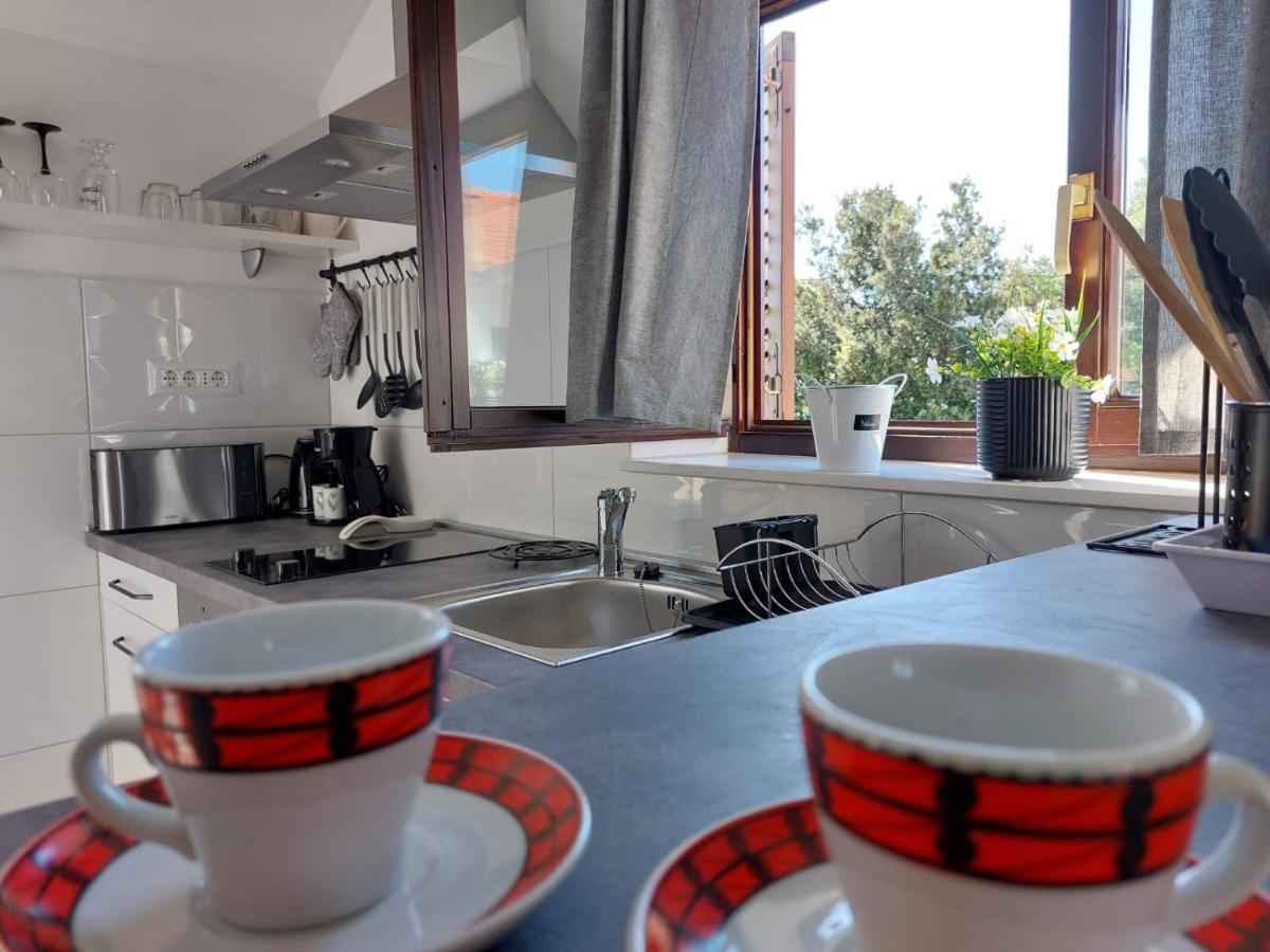 Apartments Lavanda - Free Parking And Grill 제제라 외부 사진